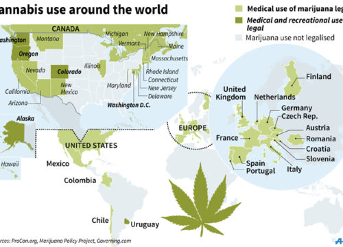 cannabis business plan sample