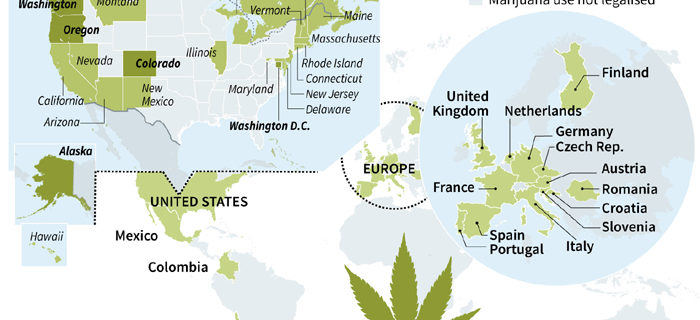 Cannabis Business Plan Sample