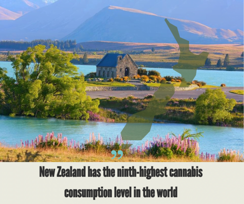 New Zealand Cannabis Industry