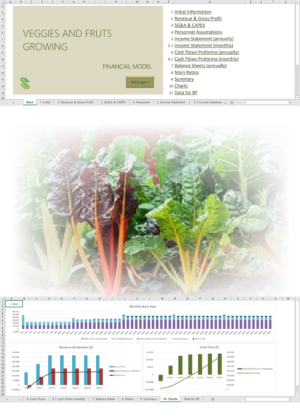Veggies Fruits Growing Financial Model