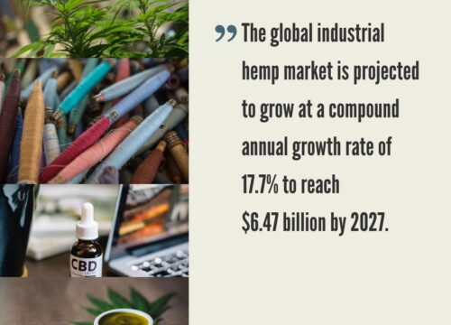 World Hemp Market